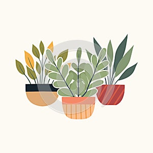 Vector illustration of greenery in clay pots in flat style. Composition of house plants in various vases