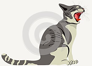 Vector illustration of grey cat with opened mouth.