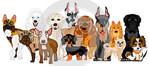 Vector illustration of the group of the dogs of the varied sorts