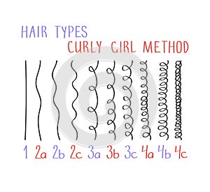 Hair types with all curl types labeled from 1 to 4c. Curly girl method (CGM) concept