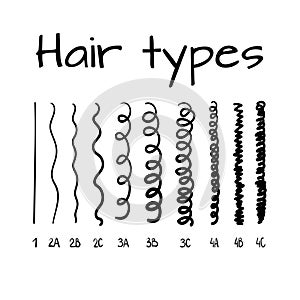 Vector illustration of hair types chart with all curl types, labeled. Curly girl method concept.