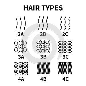 Vector illustration of hair types chart with all curl types, labeled. Curly girl method concept. Waves, coils and kinky