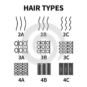 Vector illustration of hair types chart with all curl types, labeled. Curly girl method concept. Waves, coils and kinky photo