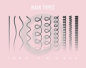 Vector Illustration of a Hair Types chart displaying all types and labeled.