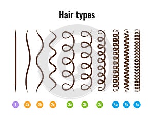 Vector Illustration of a Hair Types chart displaying all types and labeled.