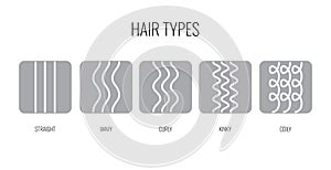 Vector Illustration of a Hair Types chart displaying all types and labeled. photo