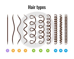 Vector Illustration of a Hair Types chart displaying all types and labeled. photo