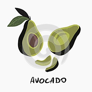 Vector illustration of half avocado on white background