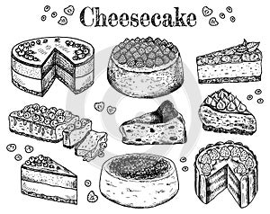 Vector illustration of hand drawn sketch cheesecakes. Food, tasty dessert, slice, piece, cake with cheese. Cheesecake with berries