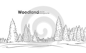 Vector illustration: Hand drawn Woodland landscape. Sketch with pine forest.