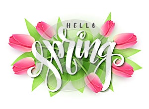 Vector illustration of hand lettering - hello spring on a background of blooming tulip branches