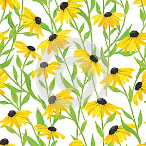 Vector illustration. Hand painted watercolor black-eyed Susan flower seamless repeat pattern.