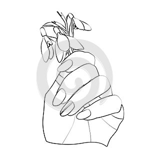 Vector illustration of hand with snowdrop parh on white background