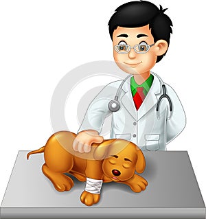 Handsome veterinarian cartoon check dog with laugh