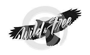 Vector illustration: Handwritten brush lettering of Wild and Free on silhouette of flying hawk background