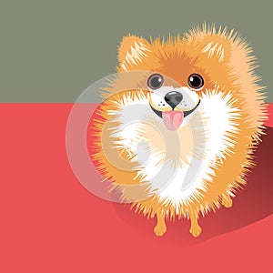 Vector Illustration of a happy fluffy Pomeranian dog