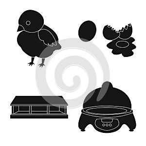 Vector illustration of harvest and farming logo. Collection of harvest and poultry stock symbol for web.