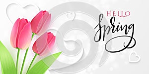 Vector illustration of hello spring greetings banner template with hand lettering label - spring - with realistic tulip