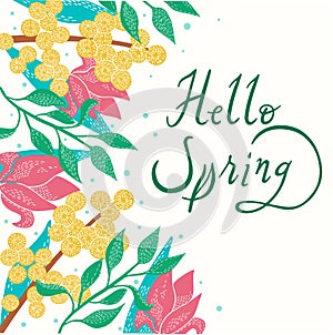 Vector illustration. Hello spring postcard with handwritten lettering with tulips, mimosa, leaves. Suitable for banner