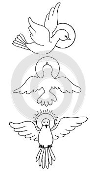Vector illustration of Holy Spirit. Collection of outline, line doodle - Dove with halo in flight. Religious icon of