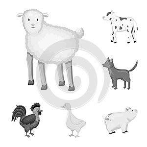 Vector illustration of homestead and agriculture symbol. Collection of homestead and kitchen vector icon for stock.