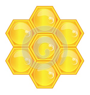 Vector illustration of honeycomb