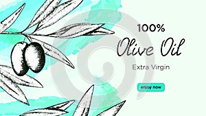 Vector illustration horizontal banner with hand-drawn olive tree branch with fruits. Label for olive oil, advertising poster for