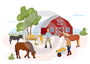 Vector illustration of horse farm and agriculture. Farmers take care of his country pets, gives them hay. Horse breeding