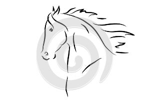 Vector illustration of horse head