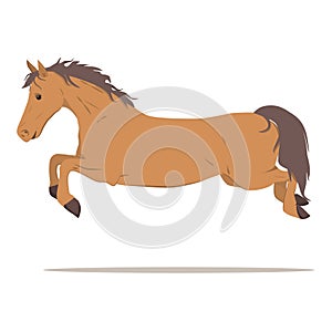 vector illustration of a horse in a high jump. The theme of equestrian sports, training and animal husbandry