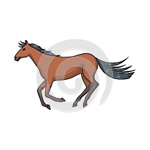 Vector illustration of horse and hippodrome symbol. Collection of horse and jumping vector icon for stock.