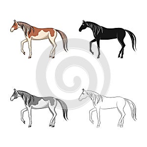 Vector illustration of horse and steed icon. Set of horse and western vector icon for stock.