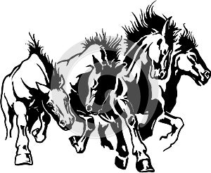 Horses Stampeding Illustration