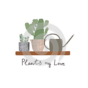 Vector illustration of house plants in concrete pots on wooden shelf