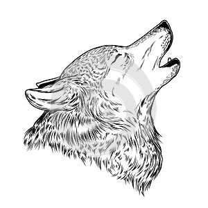 Vector illustration of a howling wolf