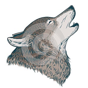 Vector illustration of a howling wolf