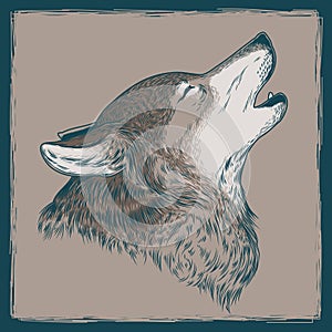 Vector illustration of a howling wolf