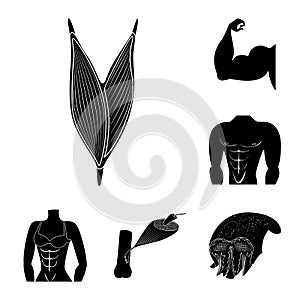 Vector illustration of human and body icon. Collection of human and cells stock vector illustration.
