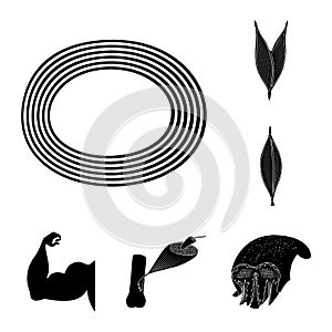 Vector illustration of human and body symbol. Set of human and cells stock vector illustration.