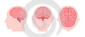 Vector illustration of human brain  3 angles set