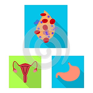 Vector illustration of human and health icon. Collection of human and scientific stock symbol for web.