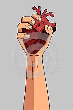 Vector illustration of human heart in hand. Isolated.