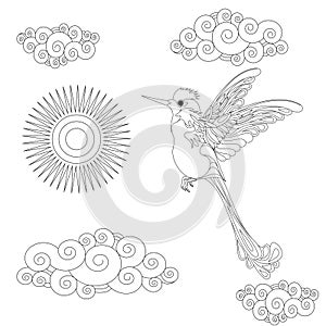 Vector illustration of hummingbird or colibri