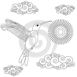 Vector illustration of hummingbird or colibri in the sky isolated on white background for coloring,