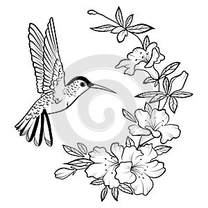 Vector illustration of a hummingbird. Stylized flying bird. Drawing with ornaments. Linear Art. Black and white drawing