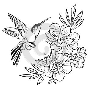 Vector illustration of a hummingbird. Stylized flying bird. Drawing with ornaments. Linear Art. Black and white drawing