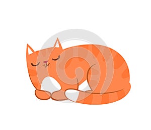 Vector illustration of illustration of cute red cat in various poses