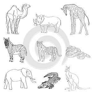 Vector illustration. Image rhino kangaroo, giraffe, elephant, zebra, snake, crocodile, camel, tiger a black line.