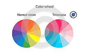 Vector illustration, infographics, color wheel, palette, normal