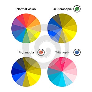 Vector illustration, infographics, color wheel, palette, normal photo